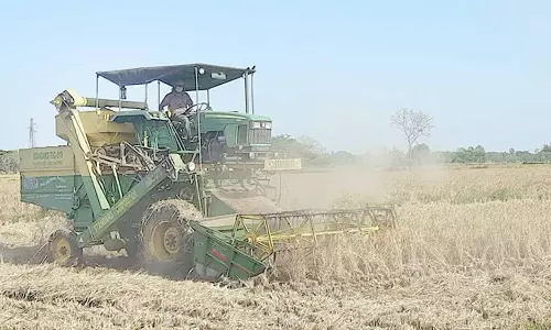 சம்பா அறுவடை பணிகள் தீவிரம்