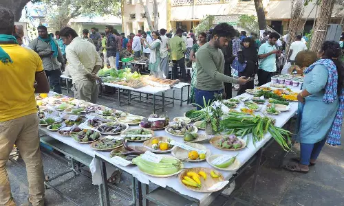 மரபணு காய்கறி விதைகள் கண்காட்சி