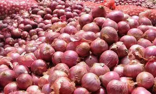 வெங்காயம் ஏற்றுமதிக்கு தடை இல்லை - மத்திய அரசு அறிவிப்பு