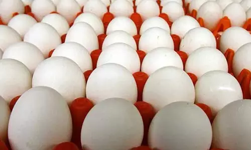 நாமக்கல் மண்டலத்தில் முட்டை விலை 5 காசுகள் உயர்வு