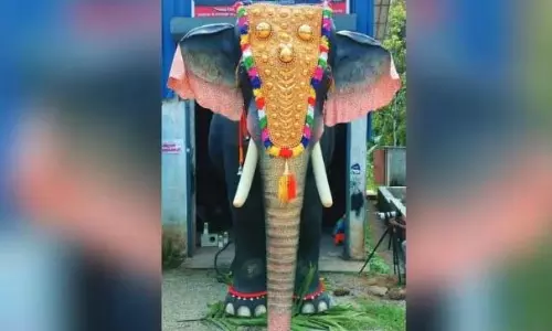 திருச்சூரில் இனி நிஜ யானைக்கு வேலையில்லை- கோவிலுக்கு காணிக்கையாக வழங்கப்பட்ட எந்திர யானை