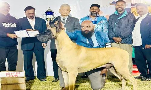 கொடைக்கானலில் நாய்கள் கண்காட்சி நிறைவு கிரேட்டன் நாய் ஒட்டுமொத்த சாம்பியன்