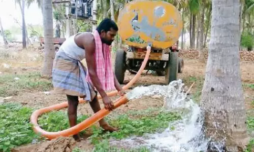 தண்ணீரை விலைக்கு வாங்கி மா மரங்களுக்கு பாய்ச்சும் விவசாயிகள்