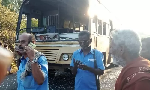 புத்தாநத்தம், துவரங்குறிச்சியில் காட்டெருமைகளின் அட்டகாசத்தால் அச்சத்தில் தவித்து வரும் பொதுமக்கள்