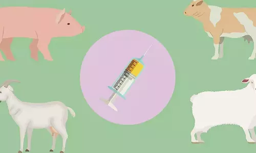 கோமாரி நோய் தடுப்பூசி முகாம்