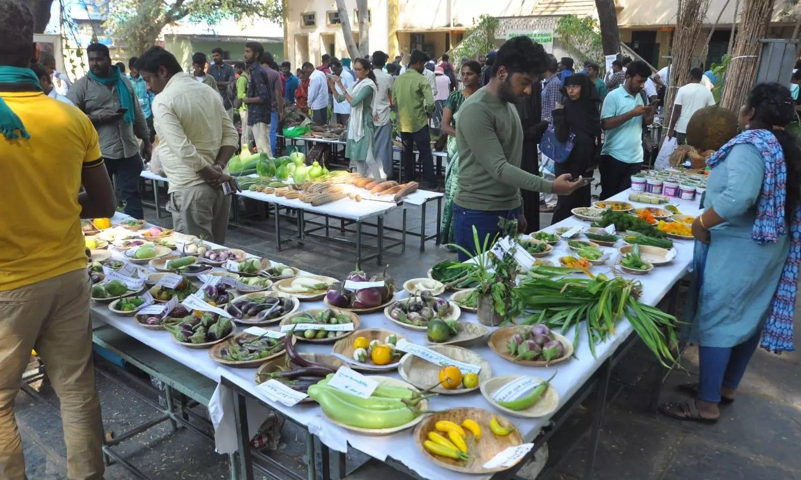 விவசாயிகளை வியக்க வைத்த மரபு காய்கறி, கிழங்கு திருவிழா விவசாயிகளை வியக்க வைத்த மரபு காய்கறி, கிழங்கு திருவிழா