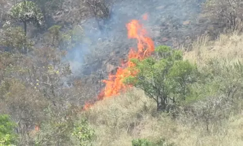 22 பேரை காவு வாங்கிய குரங்கணி மலைப்பகுதியில் மீண்டும் காட்டுத்தீ