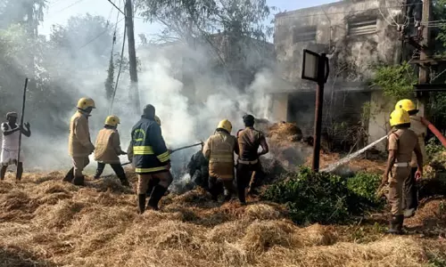 பொன்னேரி அருகே மின் கம்பி உரசியதில் வைக்கோல் போர் தீப்பிடித்து எரிந்தது