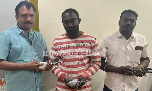 ஆந்திராவில் இருந்து தூத்துக்குடிக்கு புறா பந்தயம்- 750 கி.மீ. தூரத்தை 14 மணி நேரத்தில் கடந்து வந்து வெற்றி