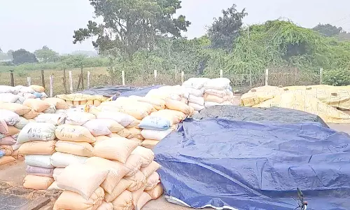 நாகையில் இன்று மழை; நெல் மூட்டைகளை தார்ப்பாய் கொண்டு மூடும் பணி தீவிரம்