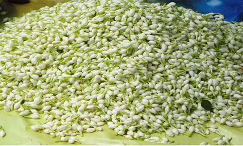 சேலத்தில் குண்டு மல்லி கிலோ ரூ.500- க்கு விற்பனை