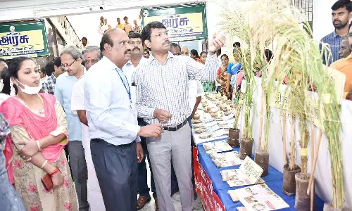 சர்வதேச சிறுதானிய ஆண்டு விழிப்புணர்வு நிகழ்ச்சி