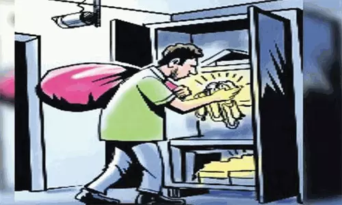 வீடுகளின் பூட்டை உடைத்து திருடிய 2 வாலிபர்கள் கைது