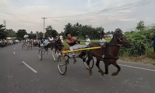 ரேக்ளா ரேஸ் போட்டியை வீடியோ எடுத்தவர்கள் உள்பட 3 பேர் காயம்