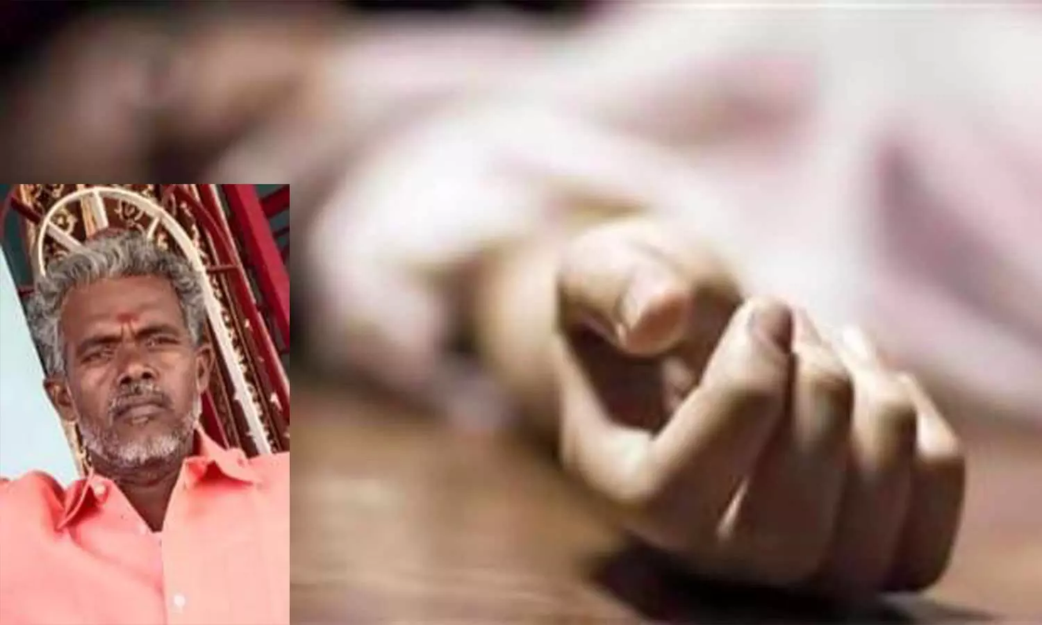 மரம் விழுந்து தொழிலாளி பலி