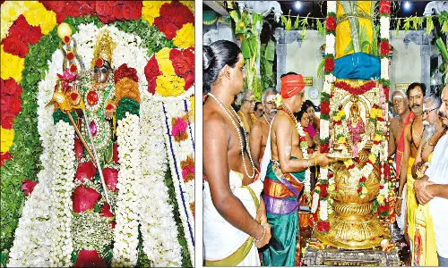 பழனி மாரியம்மன் கோவில் மாசித்திருவிழாவில் 8-ந்தேதி தேரோட்டம்