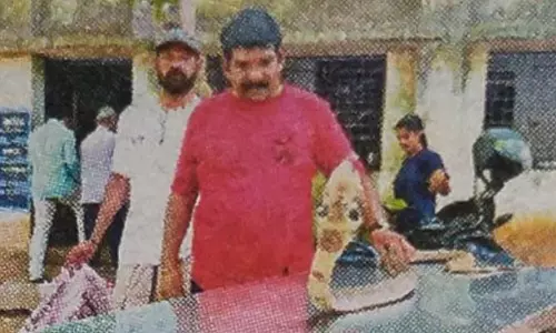 3-வது மாடியில் இருந்து விழுந்து காயம்: நாகபாம்புக்கு அறுவை சிகிச்சை செய்த டாக்டர்