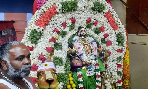 பொக்காபுரம் மாரியம்மன் கோவில் தேரோட்டம்