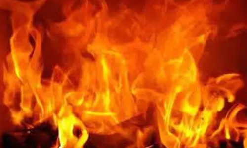 கோத்தகிரி அருகே சாலையோர புல்வெளியில் பற்றி எரிந்த தீ