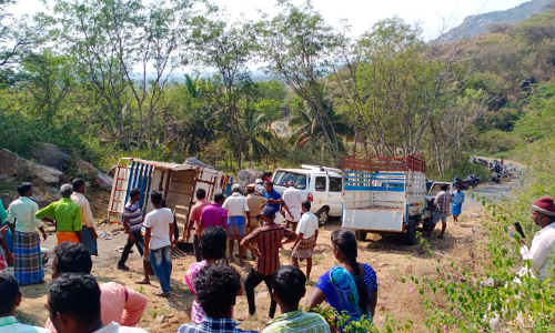சரக்கு லாரி கவிழ்ந்த விபத்தில் பெண் சாவு