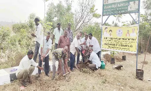 ஆற்காடு அருகே சாலை பணியாளர்கள் மரக்கன்று நட்டனர்
