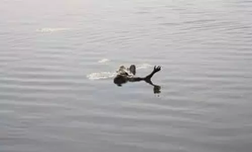 பவானி ஆற்றில் சத்துணவு பெண் சமையலர் பிணமாக மீட்பு