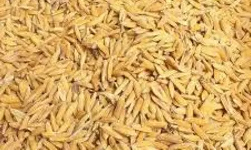 அரும்பாவூரில் நேரடி நெல் கொள்முதல் தொடக்கம்