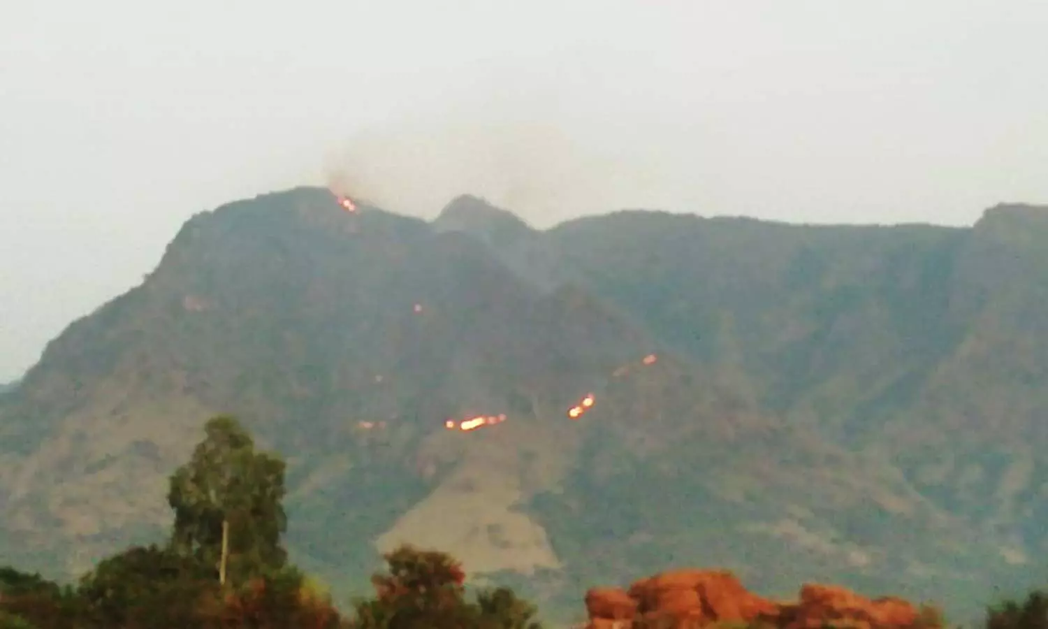 சிறுமலையில் 3-வது நாளாக பற்றி எரியும் காட்டு தீ அரிய வகை மரங்கள் கருகின சிறுமலையில் 3-வது நாளாக பற்றி எரியும் காட்டு தீ அரிய வகை மரங்கள் கருகின