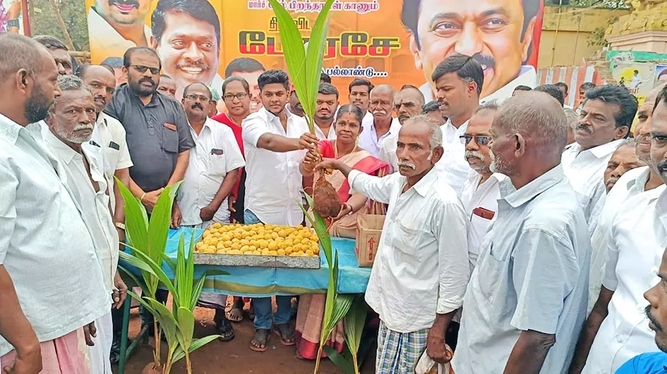 மு.க.ஸ்டாலின் பிறந்தநாள் விழாவையொட்டி பாவூர்சத்திரத்தில் மரக்கன்றுகள் வழங்கிய தி.மு.க. வினர்