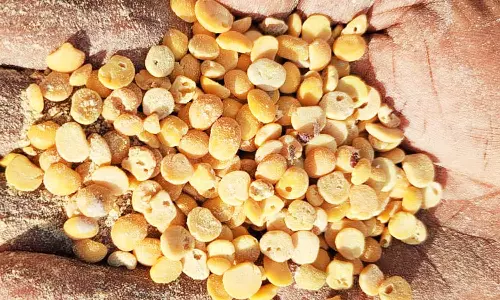 வருசநாடு அருகே ரேசன் கடையில் தரமற்ற பொருட்கள் வினியோகம் பணியாளர்களுடன் மக்கள் வாக்குவாதம்