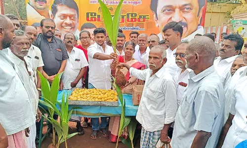 மு.க.ஸ்டாலின் பிறந்தநாள் விழாவையொட்டி பாவூர்சத்திரத்தில் மரக்கன்றுகள் வழங்கிய தி.மு.க. வினர்