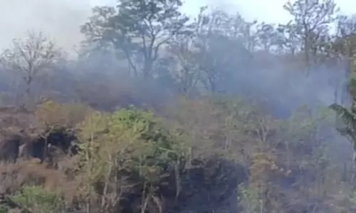 கூடலூர் அருகே பரவிய காட்டுத்தீ