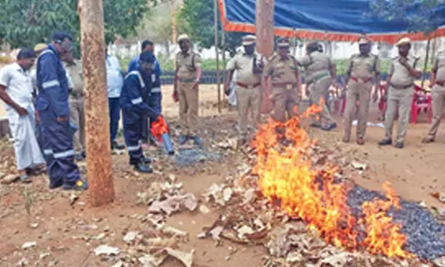 புழுதிக்குட்டையில் வனத்துறையினருக்கு காட்டுத் தீத்தடுப்பு பயிற்சி