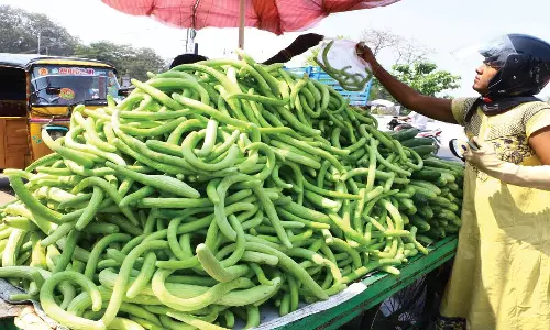 வேலூர், ராணிப்பேட்டை மாவட்டத்தில் வெயிலின் தாக்கம் அதிகரிப்பு