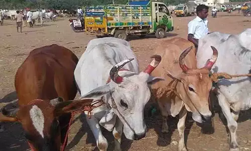 கால்நடை மருத்துவர் மீது விவசாயிகள் புகார்