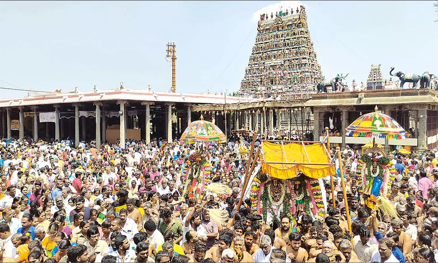 விபசித்து முனிவருக்கு விருத்தகிரீஸ்வரர் காட்சி தரும் ஐதீக திருவிழா: திரளான பக்தர்கள் சாமி தரிசனம்