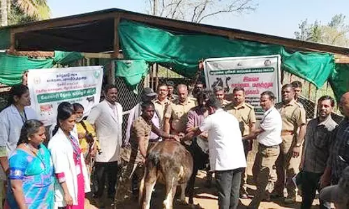 நீலகிரியில் இலவச கால்நடை மருத்துவ முகாம்