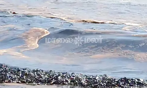 நாகூரில் குழாய் உடைந்து பல லட்சம் லிட்டர் கச்சா எண்ணெய் கடலில் கலந்தது- பொதுமக்கள் போராட்டம்