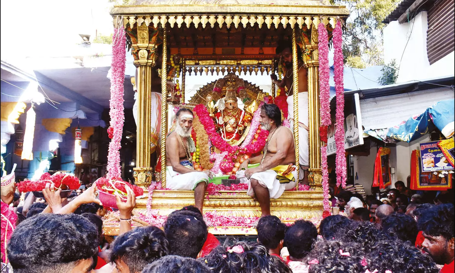 திருச்செந்தூர் கோவிலில் மாசித்திருவிழா:தங்க சப்பரத்தில் சுவாமி சண்முகர் சிவப்பு சாத்தி கோலத்தில் வீதி உலா திருச்செந்தூர் கோவிலில் மாசித்திருவிழா:தங்க சப்பரத்தில் சுவாமி சண்முகர் சிவப்பு சாத்தி கோலத்தில் வீதி உலா