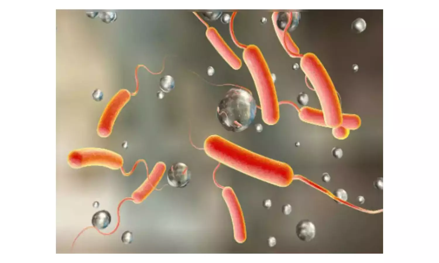 வேகமாக பரவும் வைரஸ் காய்ச்சல்