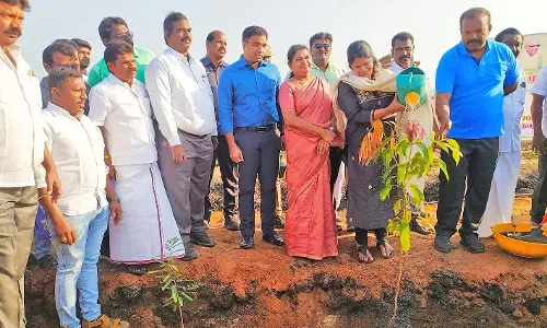 முதல்-அமைச்சர் மு.க.ஸ்டாலின் பிறந்தநாள் விழா : தூத்துக்குடியில் 18 வகையான மரக்கன்று நடும் பணி  - கனிமொழி எம்.பி. தொடங்கி வைத்தார்
