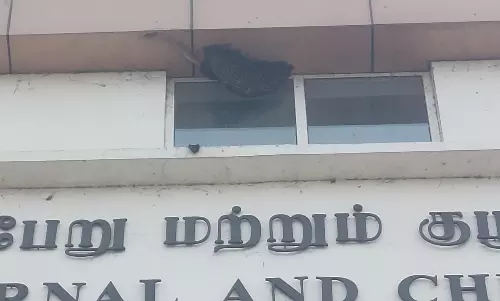 திருவள்ளூரில் அரசு மருத்துவமனையில் தேன்கூடு இருப்பதால் நோயாளிகள் அச்சம்