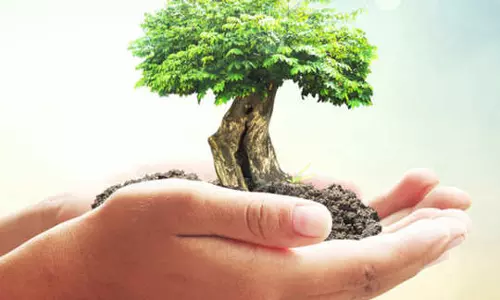 தமிழ்நாடு பசுமை சாதனையாளர் விருது பெற விண்ணப்பிக்க அழைப்பு