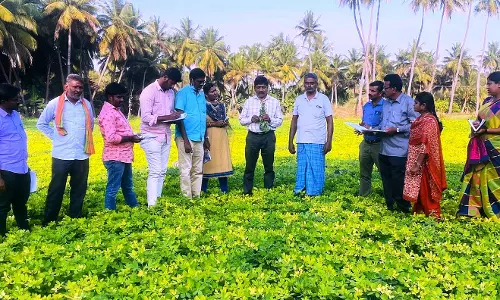 விதைச்சான்று அலுவலர்களுக்கு பயிற்சி