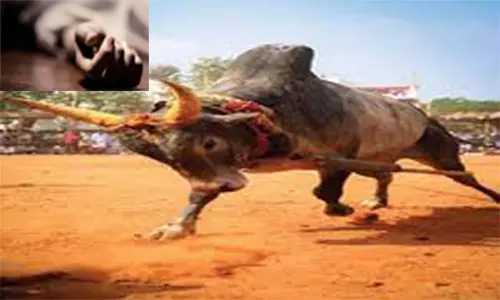 மாடு விடும் விழாவில் காளை மிதித்து முதியவர் சாவு