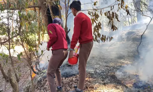 கோத்தகிரி அருகே காட்டுத்தீ