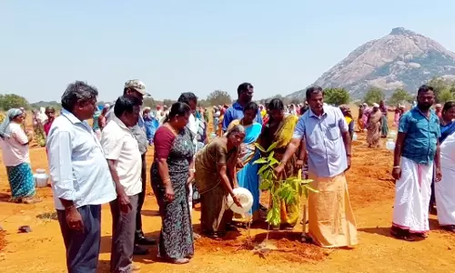 கரூரில் அமைச்சர் உதயநிதியை தொடர்ந்து அய்யர்மலை பகுதியில் 1 லட்சம் மரக்கன்றுகள் நடும் பணிகள்