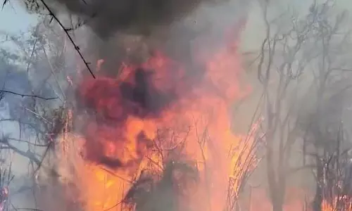 மசினகுடி அருகே மரவக்கண்டி ஏரி பகுதியில் பயங்கர காட்டுத்தீ