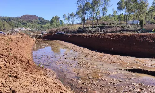 கோத்தகிரி அருகே காக்கா சோலையில் நீரோடை தூர்வாரும் பணி நிறைவு