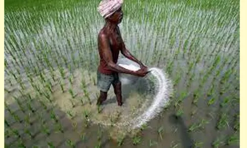 விவசாயிகள் பங்களிப்பு திட்டத்தில் சேரலாம்